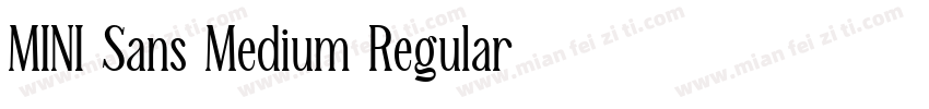 MINI Sans Medium Regular字体转换